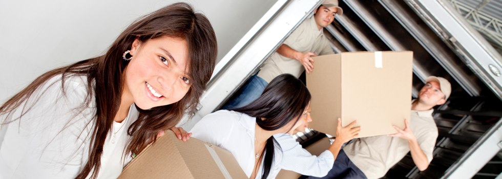 Professional Removalists NSW Nelson